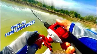 SHINJU I-REEL C TEST PERFORMANCE (NEWBIE BAITCASTER REEL)