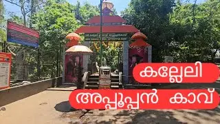 കല്ലേലി അപ്പൂപ്പൻ കാവ്...#konni #kalley #konnie #kalleyapuppankavu #achankovil #kerala #temple