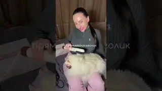 IMG 1025