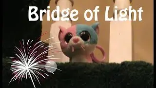 Beanie Boo Music Video 