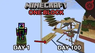 I Spent 100 Days in Minecraft One Block