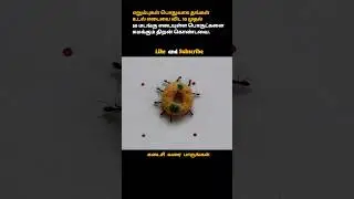 Ants Can Able To Carrying 50 Times Their Own Body Weight🐜💪 #shorts #short #trending #viral #raguram