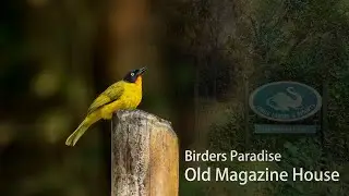 Birders Paradise Old Magazine House Ganeshgudi, near Dandeli.