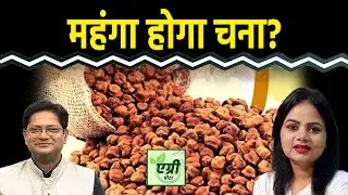Commodity Market : चने के इंपोर्ट में क्यों आई गिरावट? Trading | NCDEX | Vipul Singh