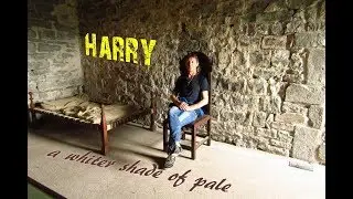 A whiter shade of pale - Harry Zepf (Procol Harum Cover)