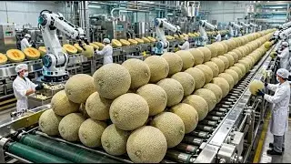SHOCKING! Inside the World's Most Modern Melon Milk Factory 😱 🏭