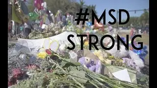 #MSDSTRONG