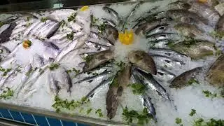 How to fish display see my video