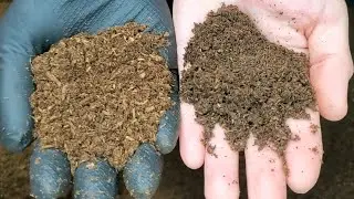 ２つのカブトマットを比べてみると…？