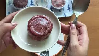 RAW INSTINCT FROZEN CAT FOOD || Choops Tries It!