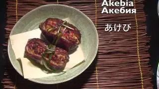 Акебия с креветочной начинкой - Akebia (English subtitles)