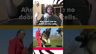 This Dog Is Trained To Kill Prisoners