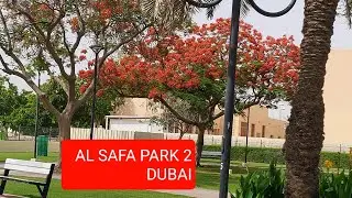 Al Safa Park 2  Dubai | beautiful park | Uae