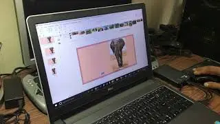 Making of my latest Book - titled  'Save Elephant -The Most Exploited Animal'