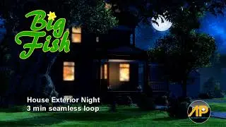 HOUSE EXTERIOR NIGHT 3min seamless loop