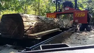 Timber King - Saw Mill / 1220  Woodworking / Raw Materials