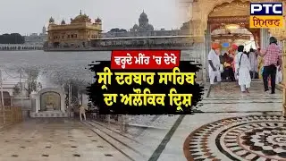 ਵਰ੍ਹਦੇ ਮੀਂਹ 'ਚ Sri Darbar Sahib ਵਿਖੇ ਬਣਿਆ ਅਲੌਕਿਕ ਦ੍ਰਿਸ਼, ਵੱਡੀ ਗਿਣਤੀ 'ਚ ਗੁਰੂਘਰ ਨਤਮਸਤਕ ਹੋਣ ਪਹੁੰਚੀ ਸੰਗਤ