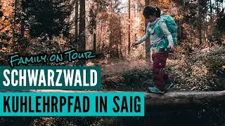 Lehrpfad im Schwarzwald bei Saig - Der Kuhlehrpfad (54)