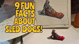 Sled Dogs Share Polar Bear Genes