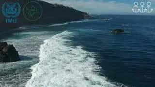 The Kingdom of Saudi Arabia IMO 2021 Video