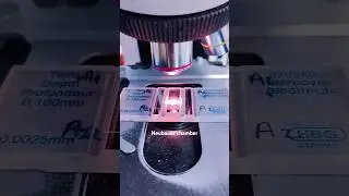 neubauer chamber 🔬🔥 #labtechnician #lab #microscopy