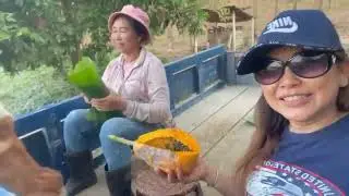 Iu Mien traveled to Laos part 8