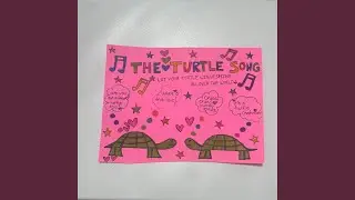 The Quirky Awkward Turtle Song