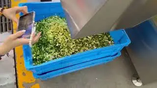 CDJX-Two Dimensional Dicing Machine