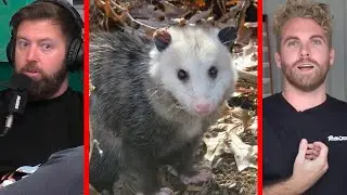 Forrest Galante on YouTuber Abusing Possum On Social Media