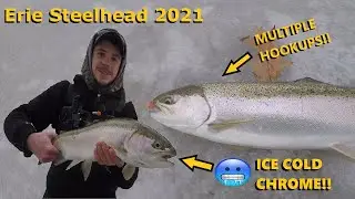 INSANE Erie Steelhead Fishing 2021 - ICE Cold Chrome!! *Multiple Hookups!*