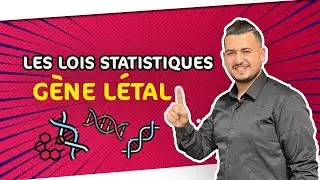 Partie 3 : les lois statistiques - gène létal