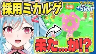 【ポケモンスリープ】16ゲージポケモンでこのステータスはアリでは！？【ポケモン大好きVTuber】