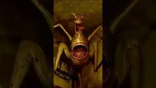 estos animales estan locos #fnaf #juegos #zoochosis
