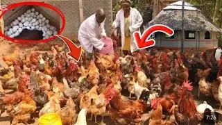 I MAKE MILLIONS A MONTH!!SUCCESSFUL KIENYEJI CHICKEN FARMER STORY ON PAULTRY FARMING//QUITED HIS JOB