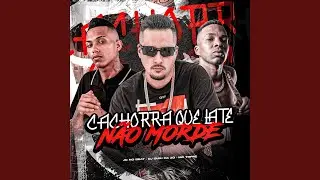 Cachorra Que Late N&atilde;o Morde