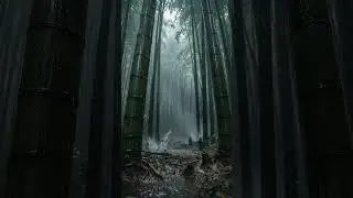Falling into Deep Sleep Instantly with Forest Beautiful Heavy Rain & Thunder - #rainforest #rain