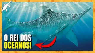 XONISSAURO: o MAIOR RÉPTIL MARINHO da HISTÓRIA! (Shonisaurus)