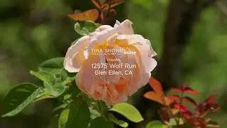 12575 Wolf Run, Glen Ellen CA  Tina Shone Group