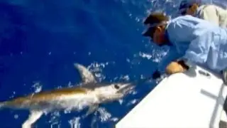How to Catch Daytime Swordfish