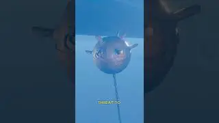 Как немцы боролись с подводными минами 😳