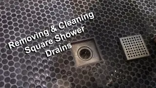 Square Shower Drain Removal and Cleaning