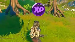 XP Coins Week 8 - Fortnite