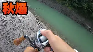 秋はコレ投げとけば釣れまくります