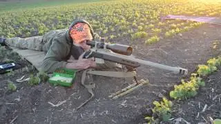 Remington 700 , 308Win,  long range shooting 1000m