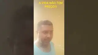 SALVEI A POMBINHA DA ARMADILHA #vida #sitio #pets #amor #liberdade