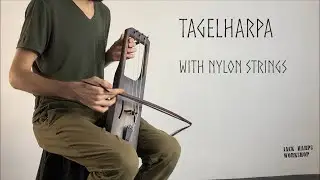 Tagelharpa with nylon strings by Jack Harps