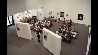 Voices & Images: Swil Kanim at the Albany Museum of Art (Part 1)