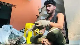 Hard work home #workout #work #market #marketing #video #youtube #viral #like #like 