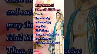 Three Hail Marys | Miracle Prayers for Mercy, Healing, Peace | 5 May