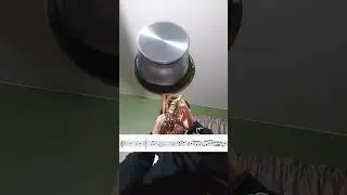 Day 18 - From The Start Trumpet Cover!